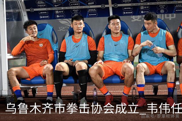 乌鲁木齐市拳击协会成立 韦伟任会长